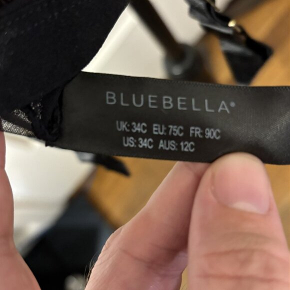 BLUEBELLA Karolina Wired Sheer Basque Lingerie In Black - 34C - NWT - Picture 13 of 13